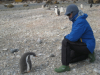 Patty & Gentoo baby penguin