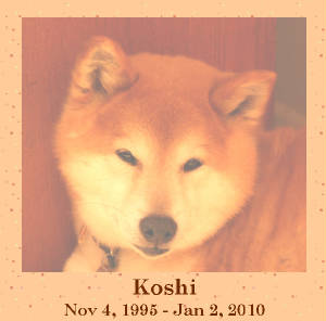 koshimemorial.jpg